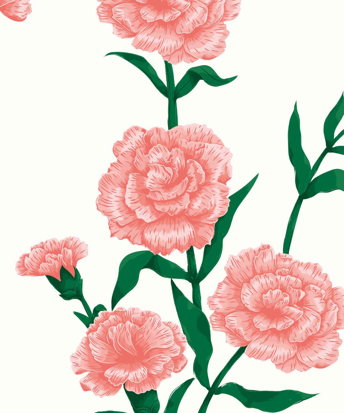 Carnations Wallpapers