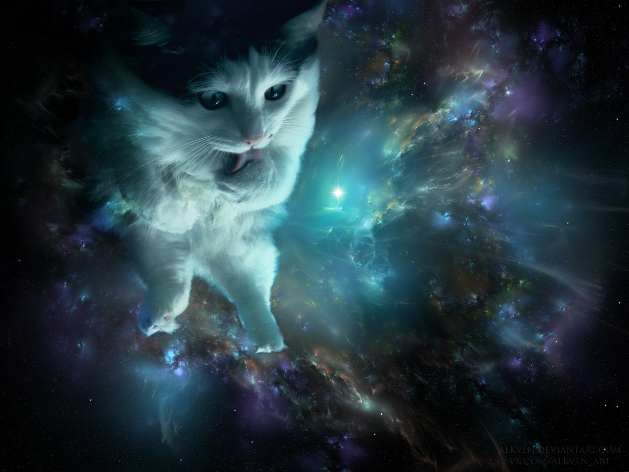 Cat Universe Wallpapers