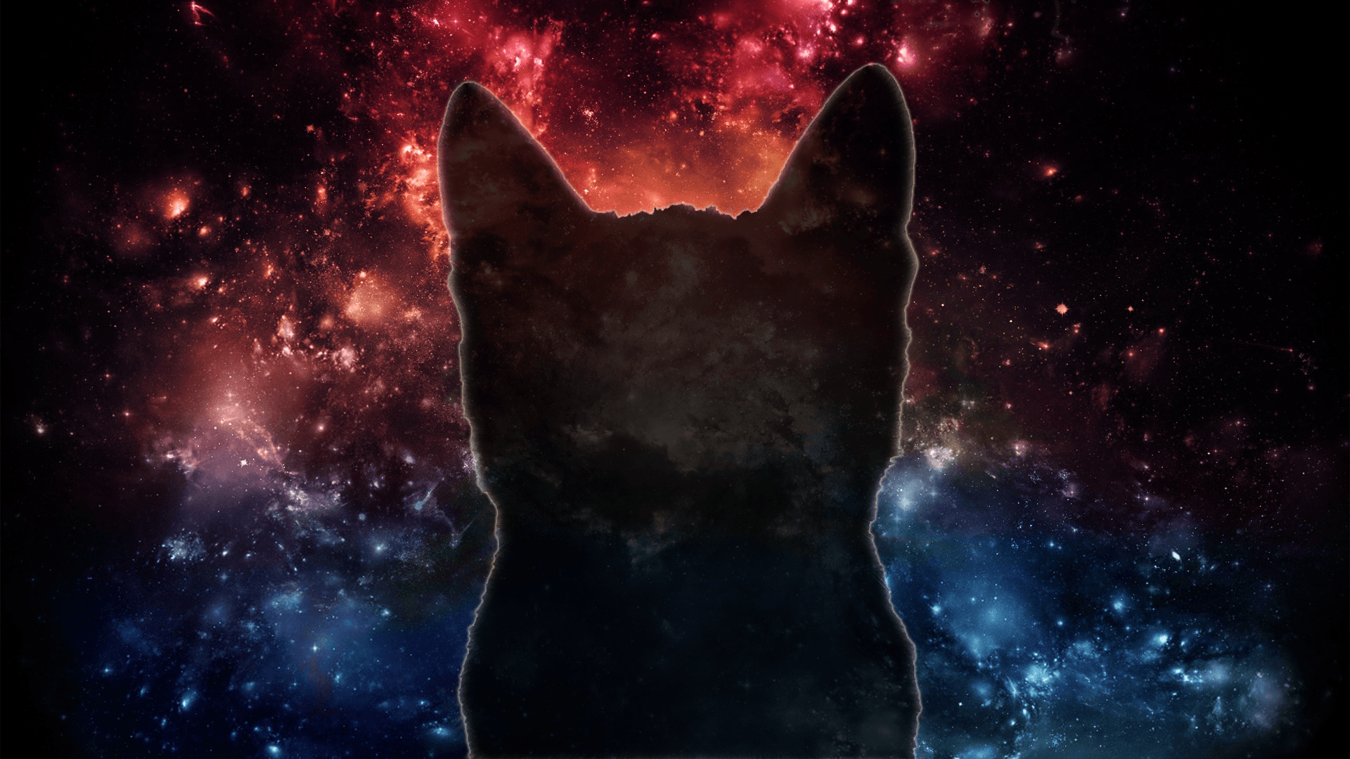 Cat Universe Wallpapers