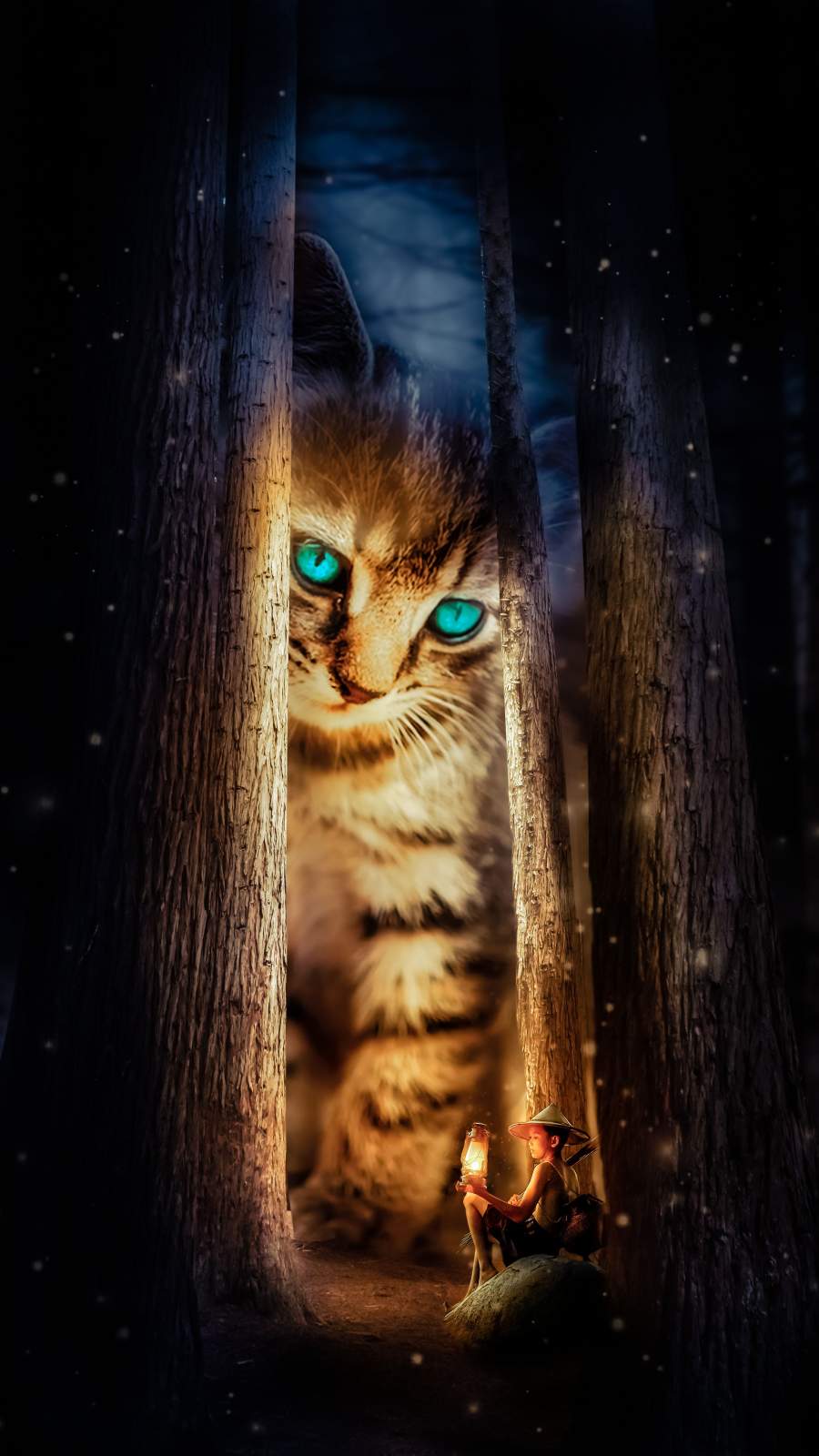 Cat Universe Wallpapers