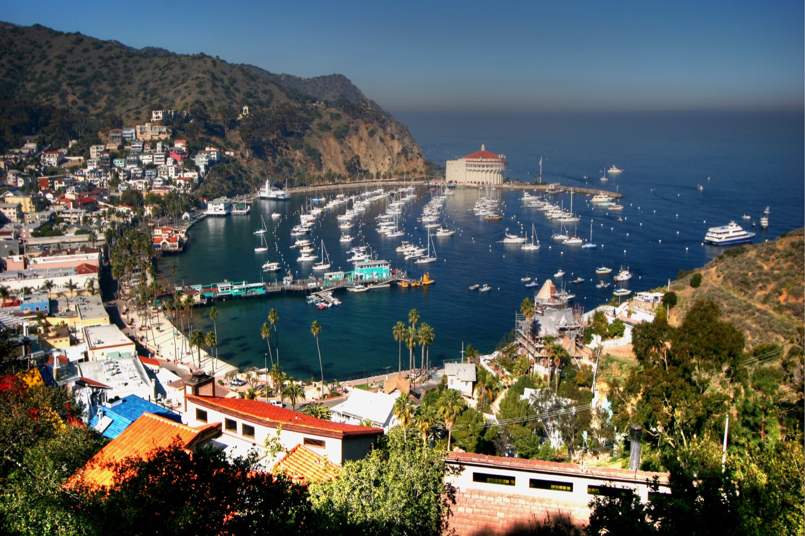 Catalina Island Apple Wallpapers