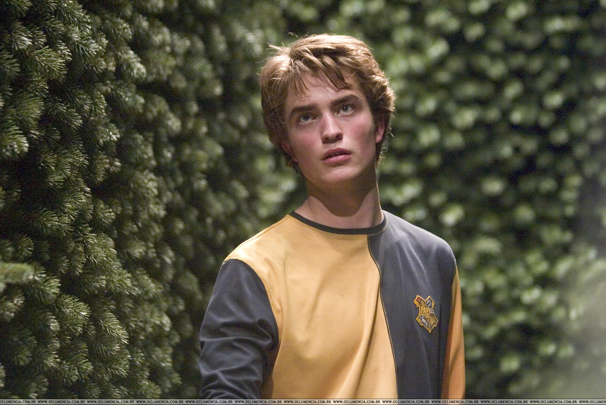 Cedric Diggory Wallpapers