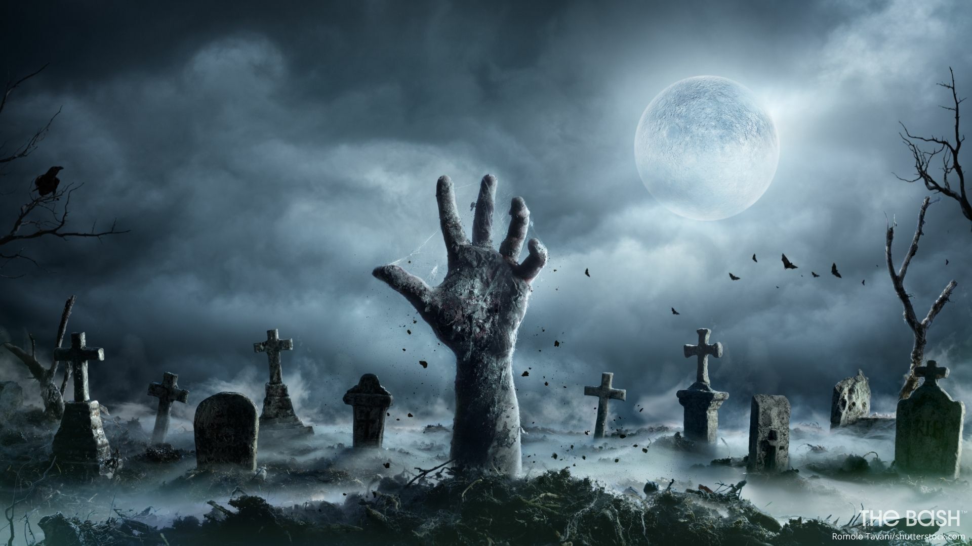 Cemetery Backdrop Wallpapers