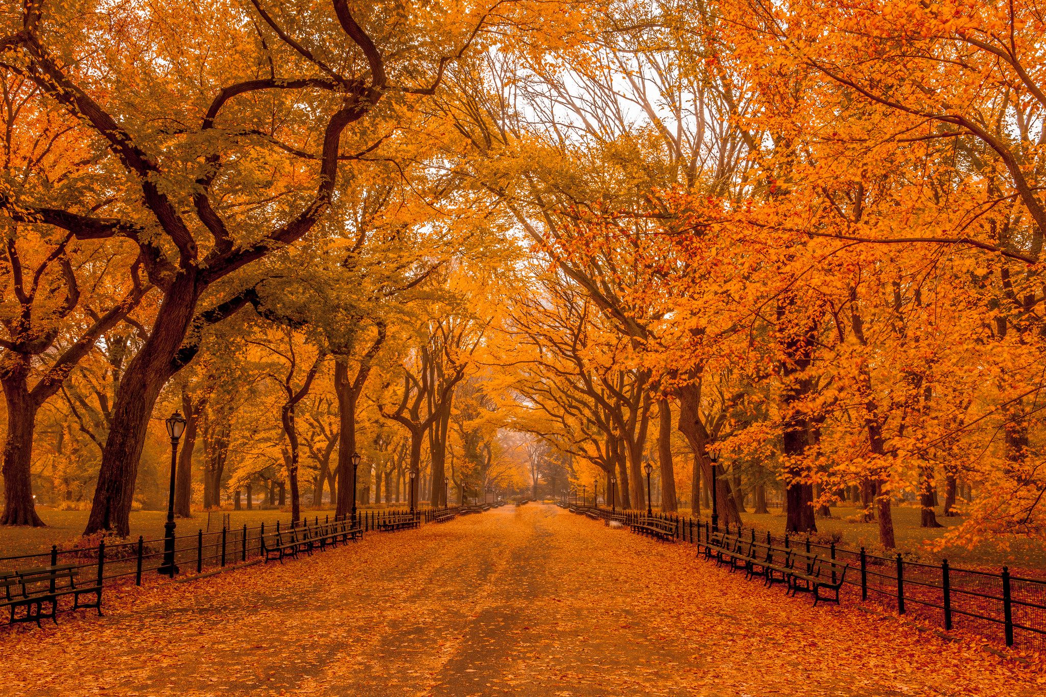 Central Park Fall Wallpapers