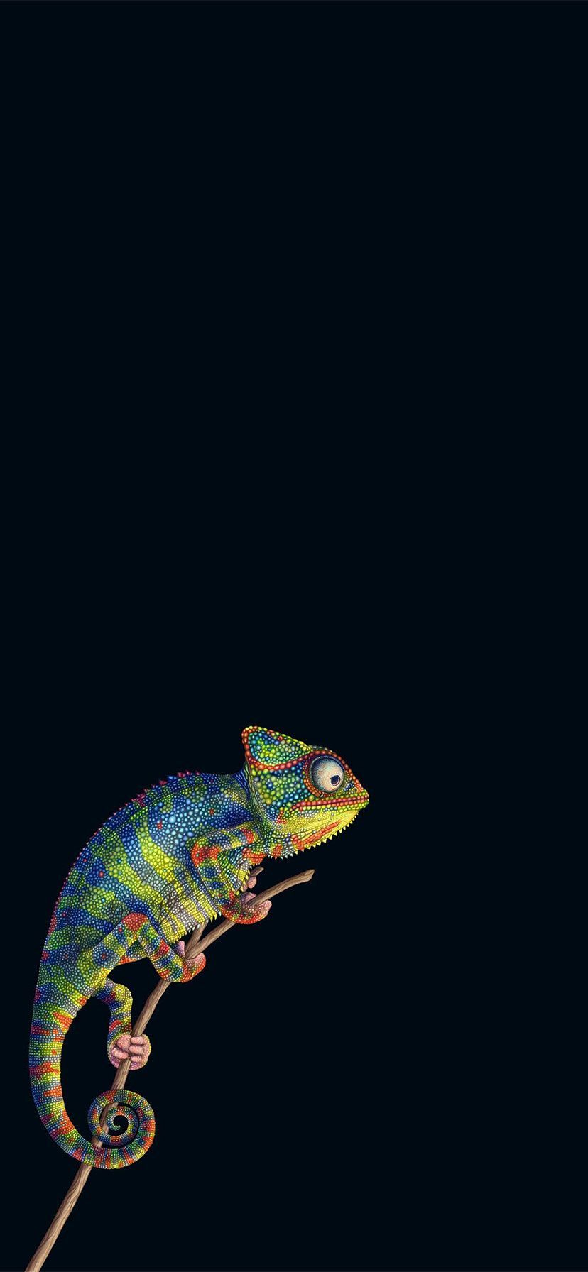 Chameleon Iphone Wallpapers