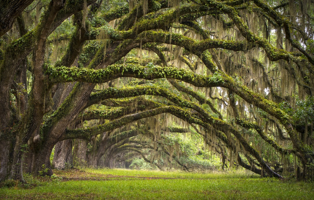 Charleston Sc Wallpapers