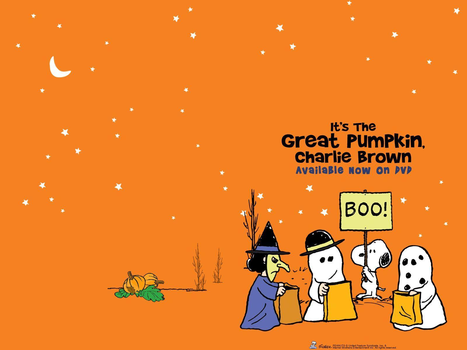 Charlie Brown Halloween Wallpapers