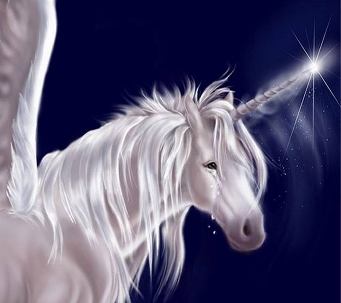 Charlie The Unicorn Wallpapers