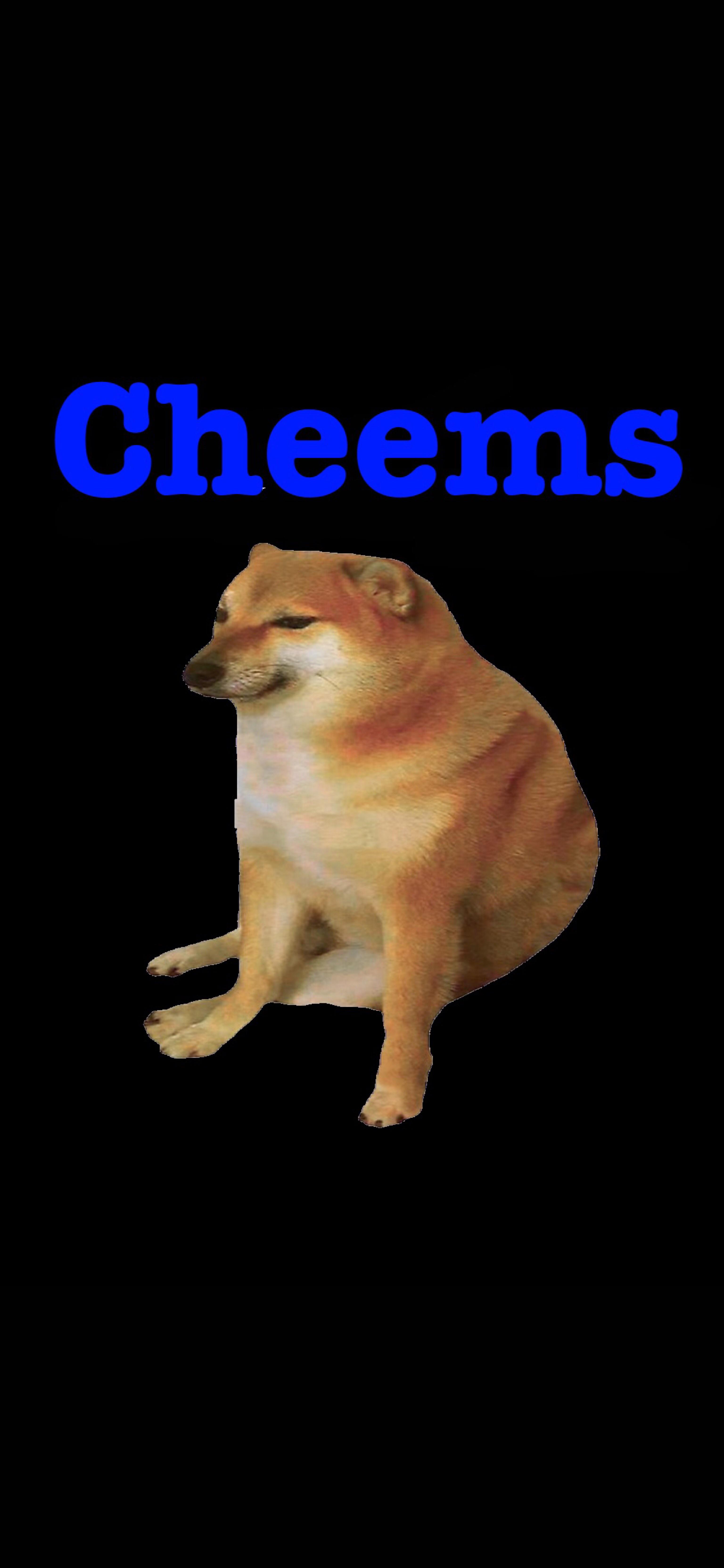 Cheems Wallpapers