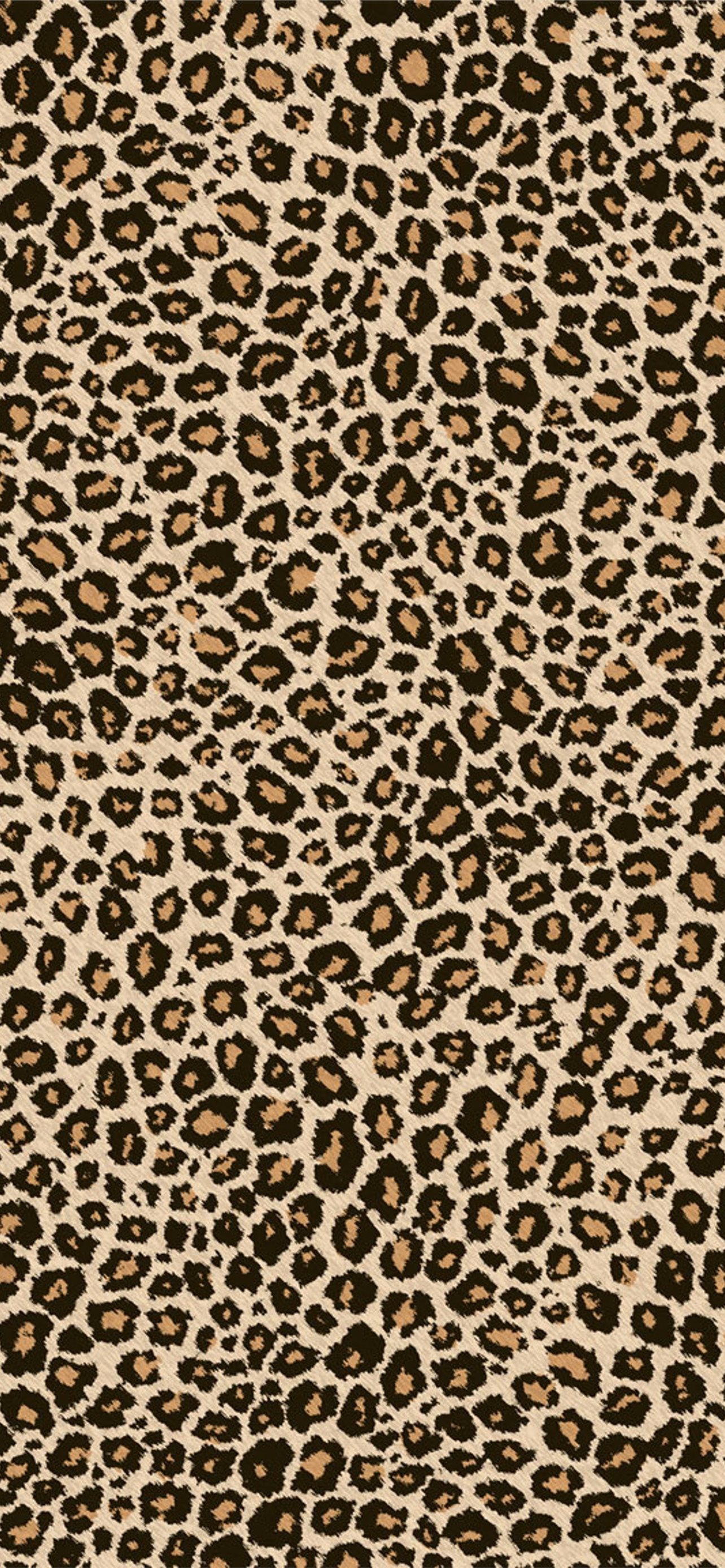 Cheetah Iphone Wallpapers