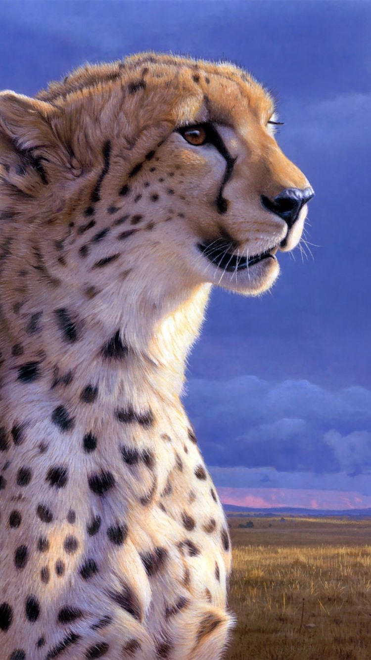 Cheetah Iphone Wallpapers