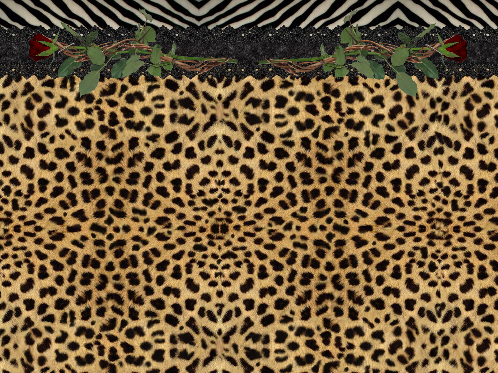 Cheetah Print Wallpapers