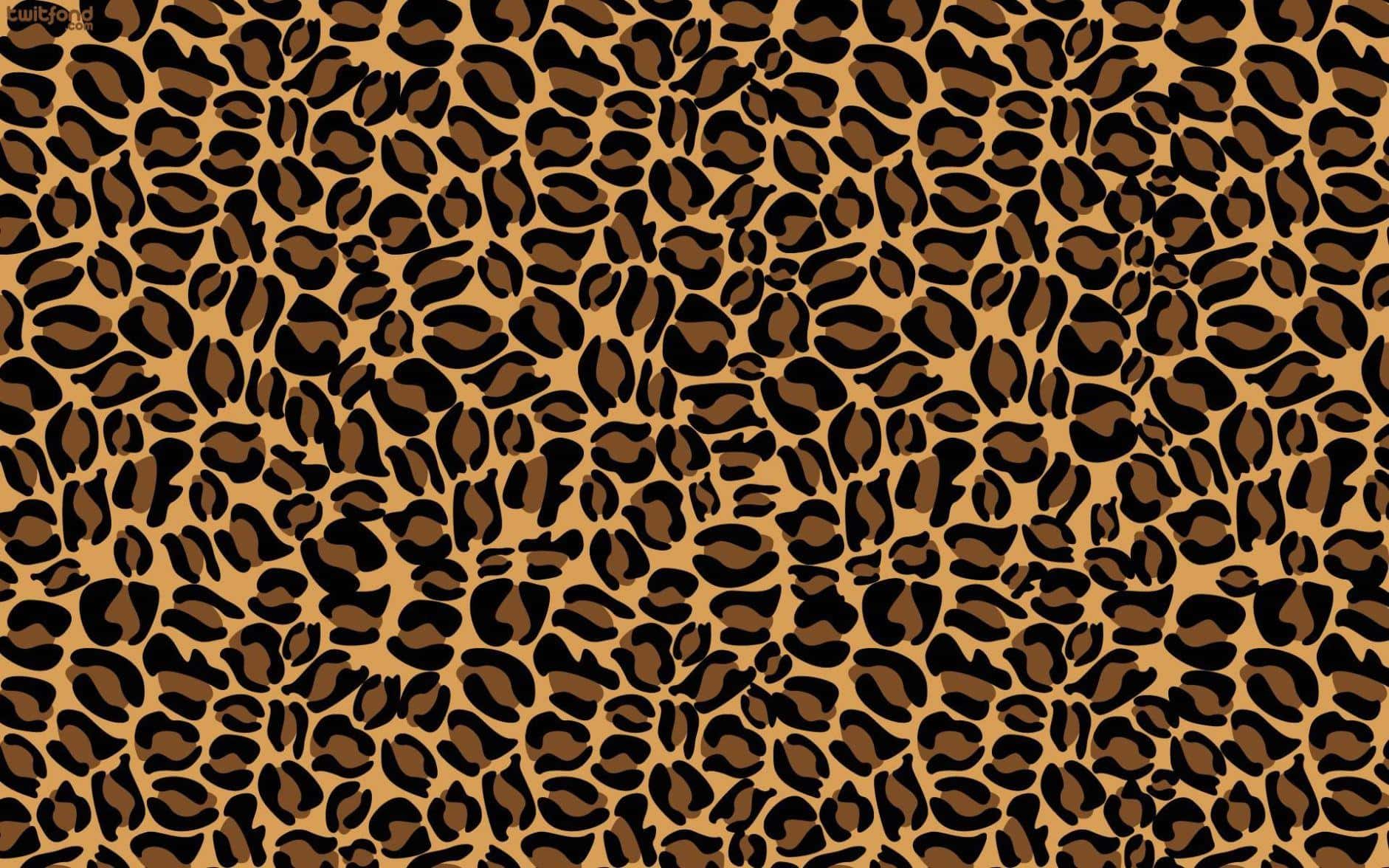 Cheetah Print Wallpapers