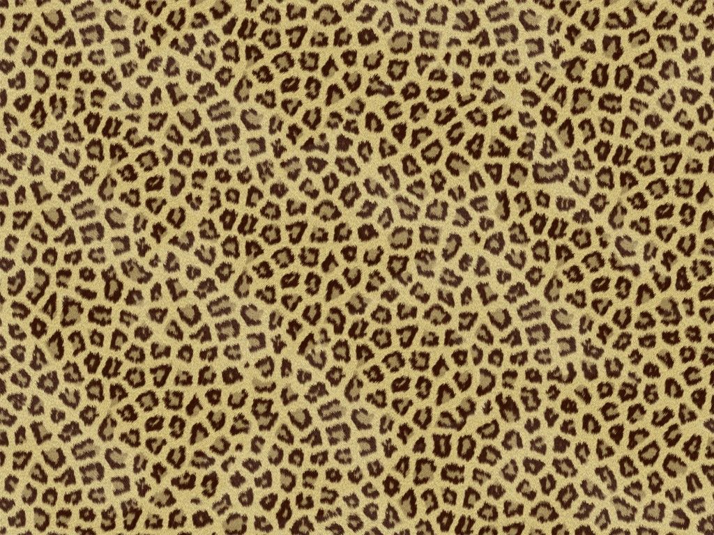 Cheetah Print Wallpapers