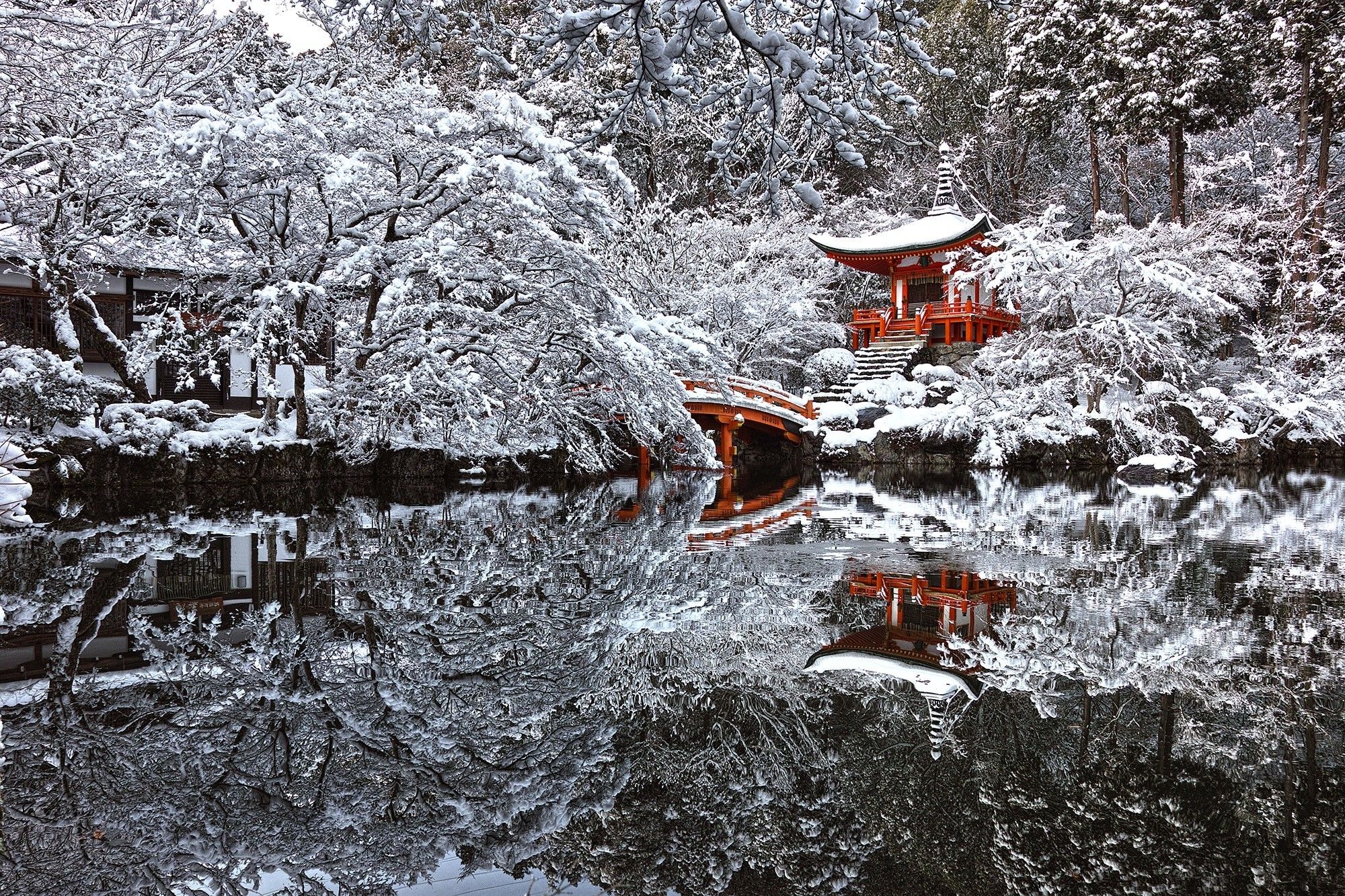 Cherry Blossom In The Winter Wallpapers