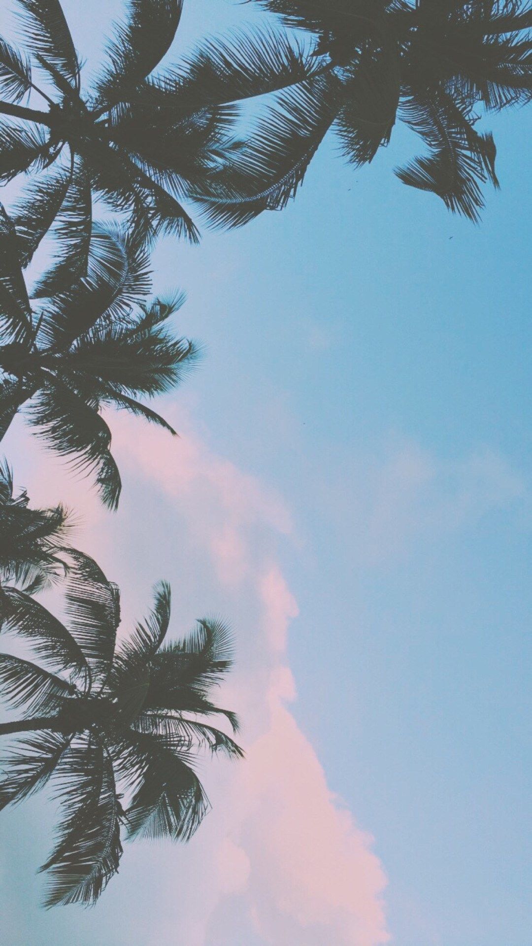 Chill Iphone Wallpapers