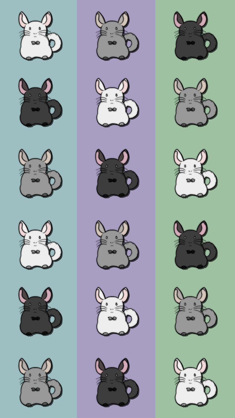 Chinchilla Wallpapers