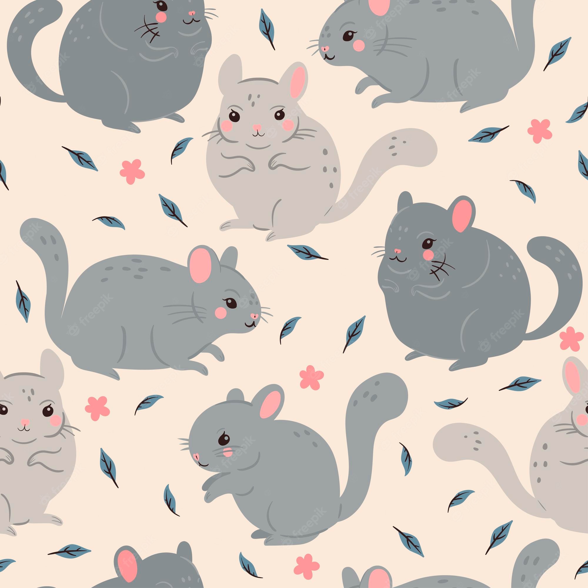 Chinchilla Wallpapers