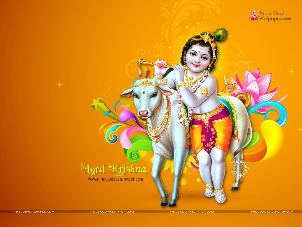 Chinni Krishna Images Wallpapers