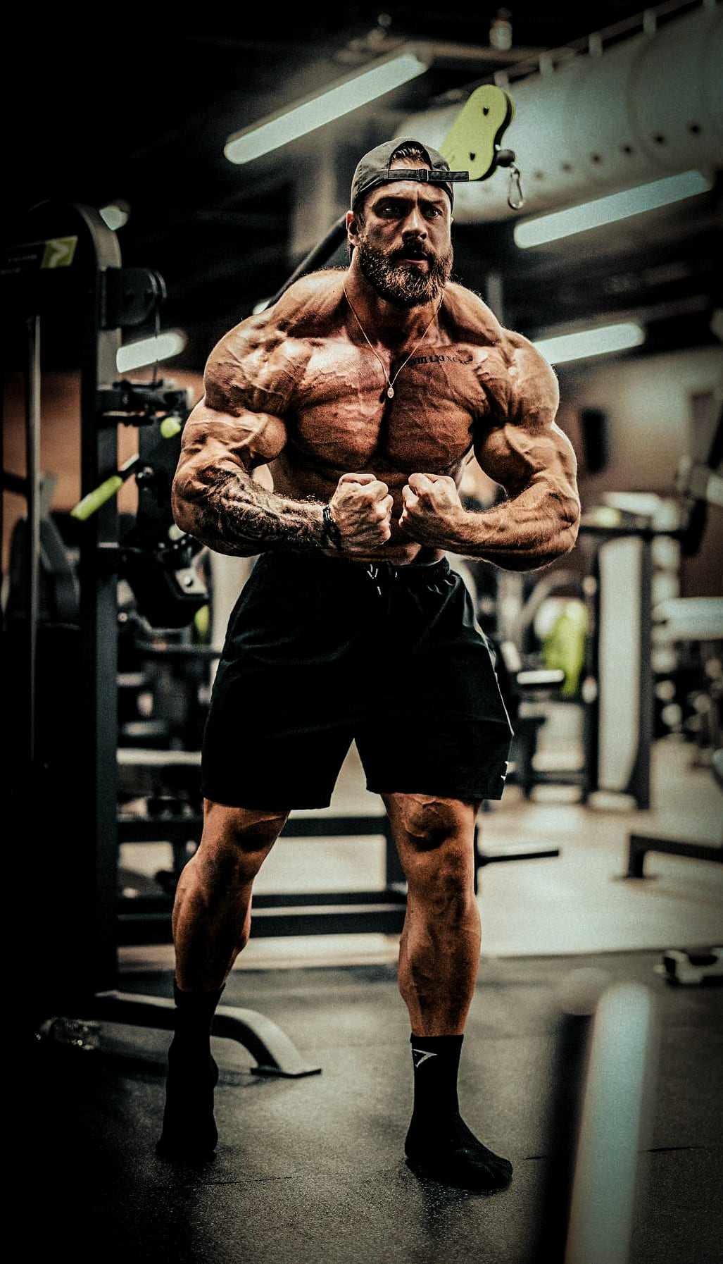 Chris Bumstead Wallpapers