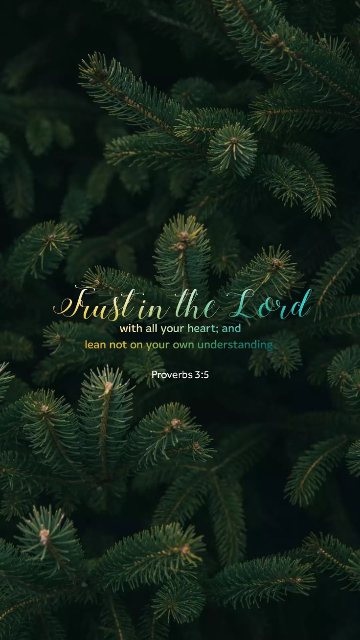 Christmas Bible Verses Wallpapers