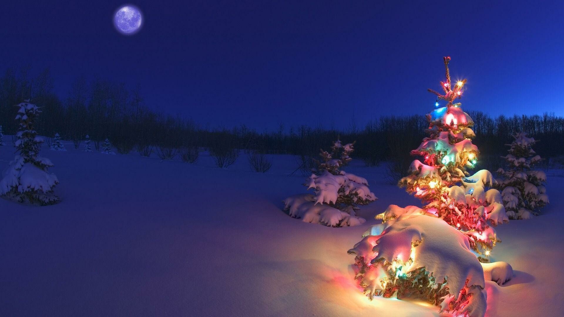 Christmas Blue Wallpapers