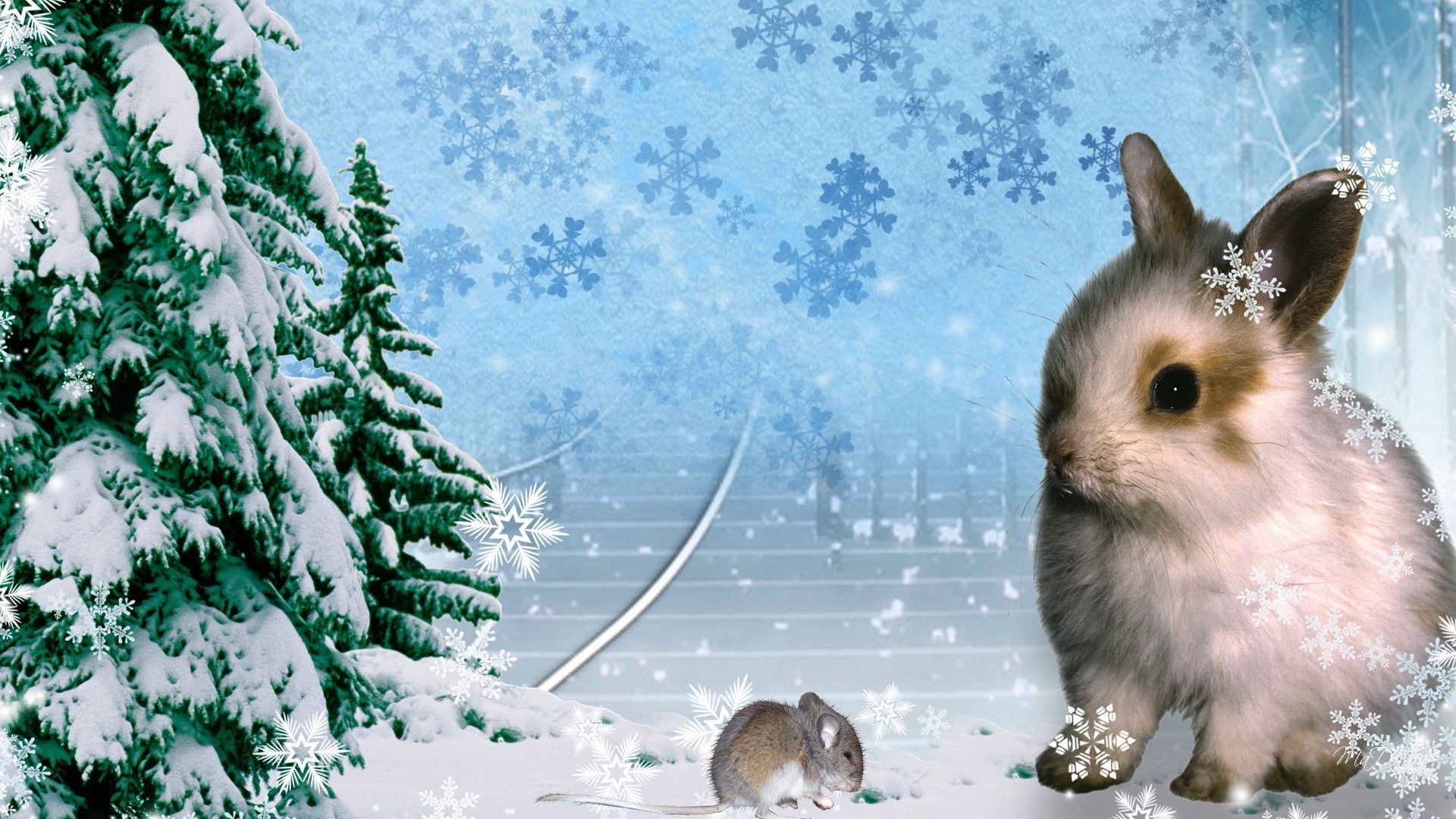 Christmas Bunny Wallpapers