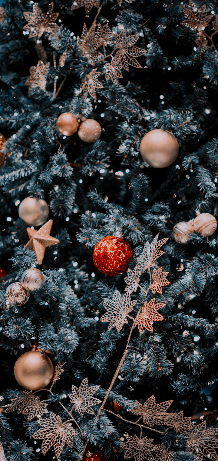 Christmas Picture Tumblr Wallpapers