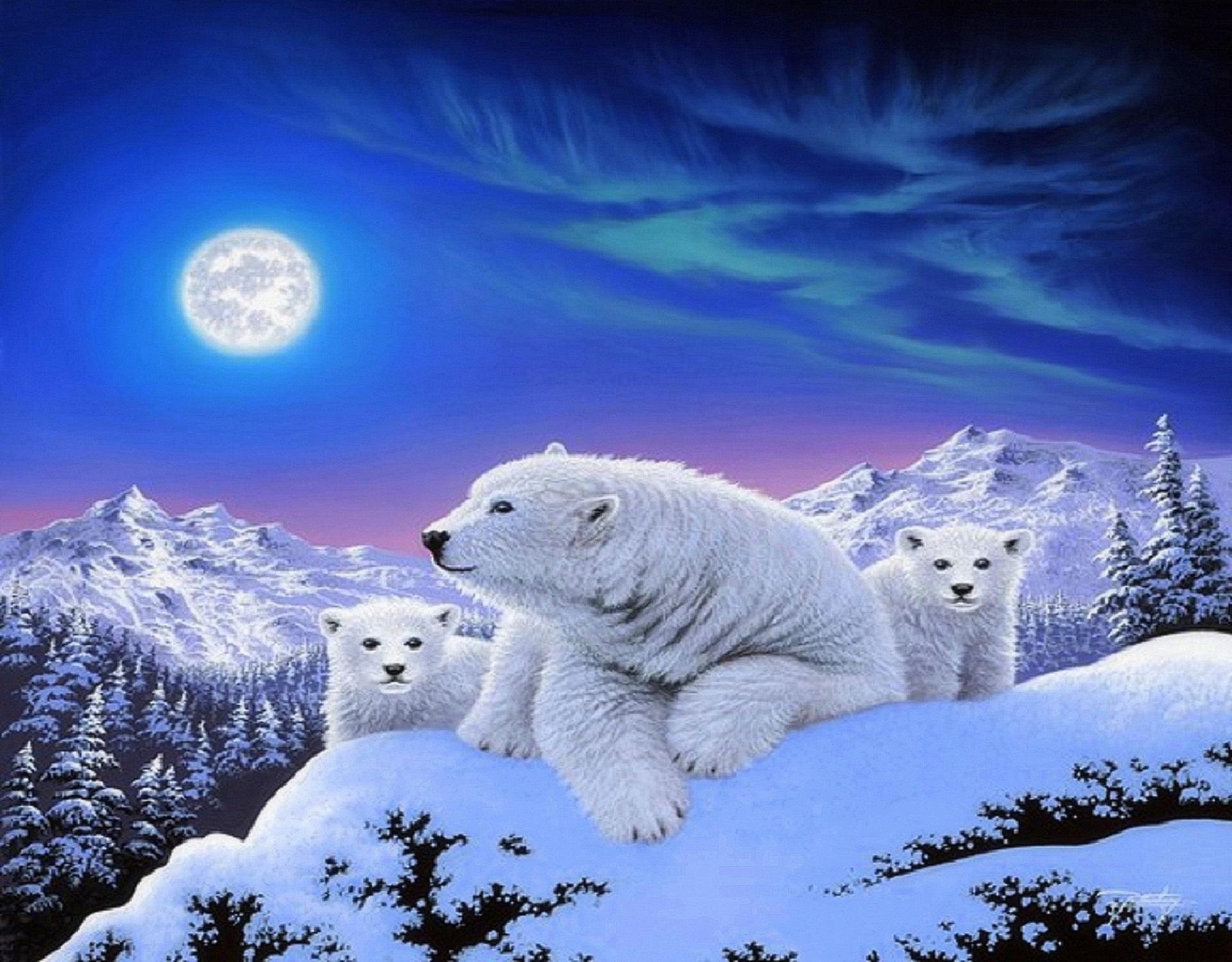 Christmas Polar Bear Wallpapers