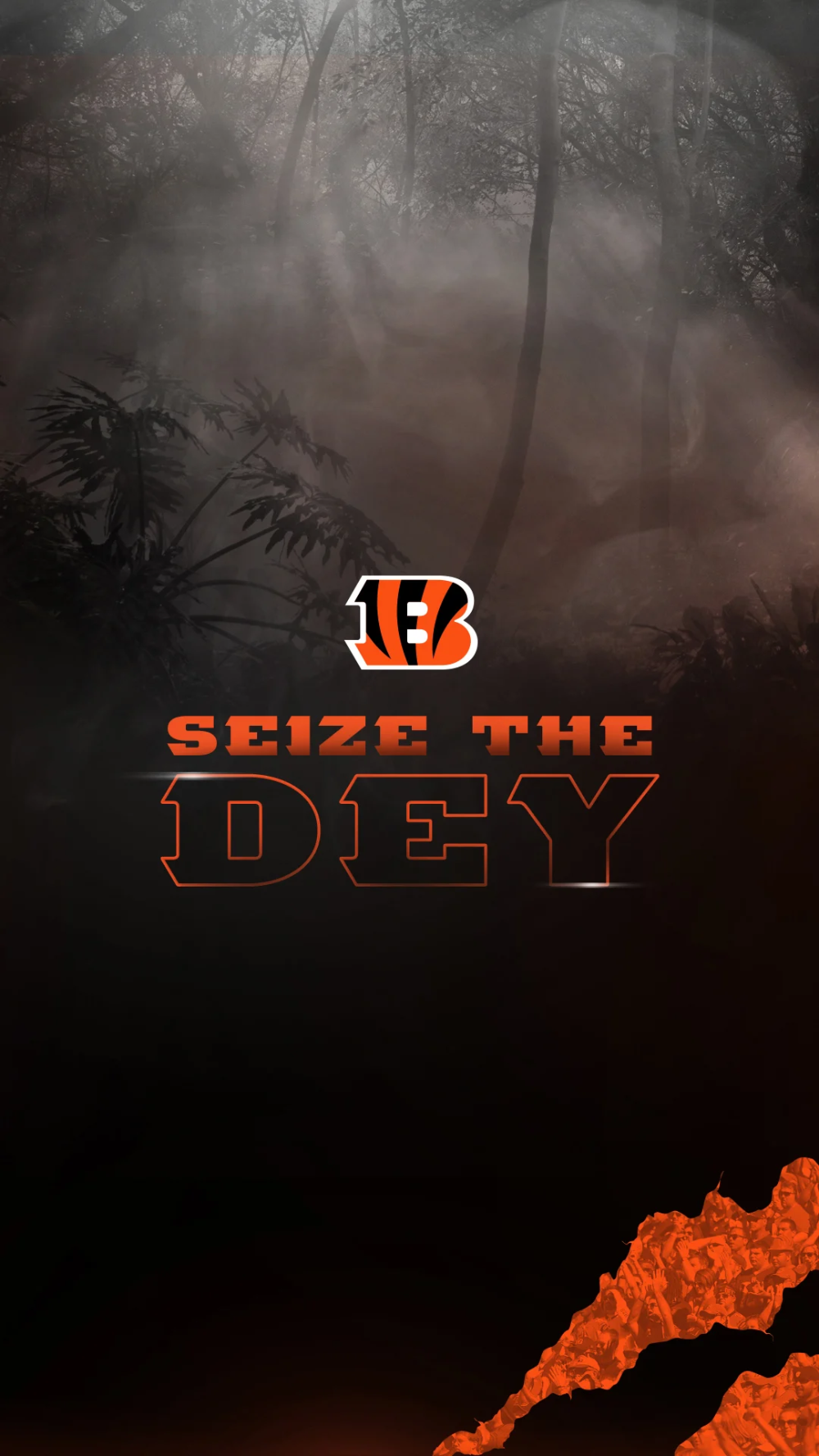 Cincinnati Bengals Screen Savers Wallpapers