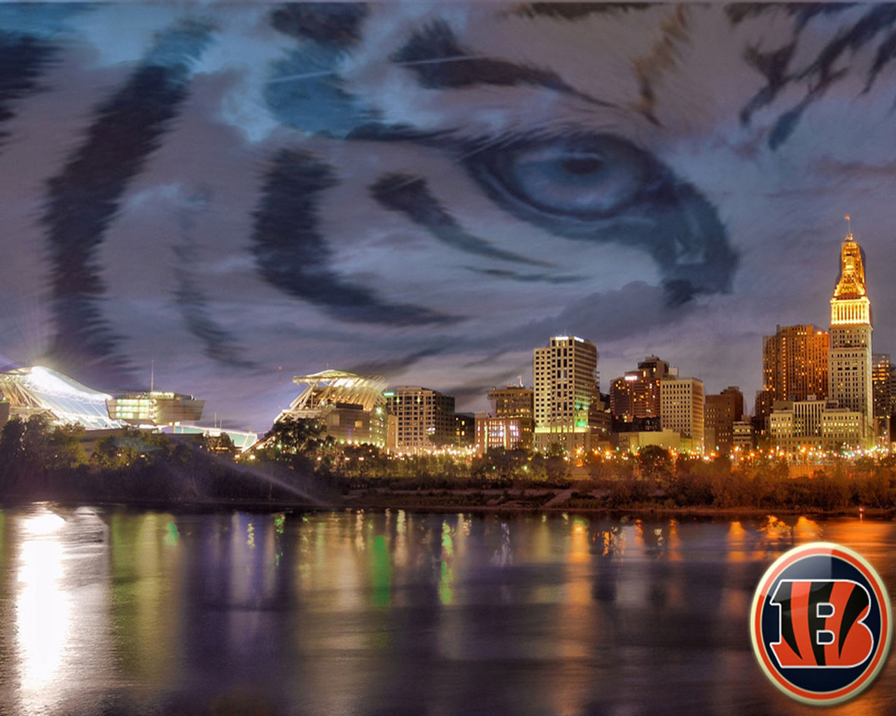 Cincinnati Bengals Screen Savers Wallpapers