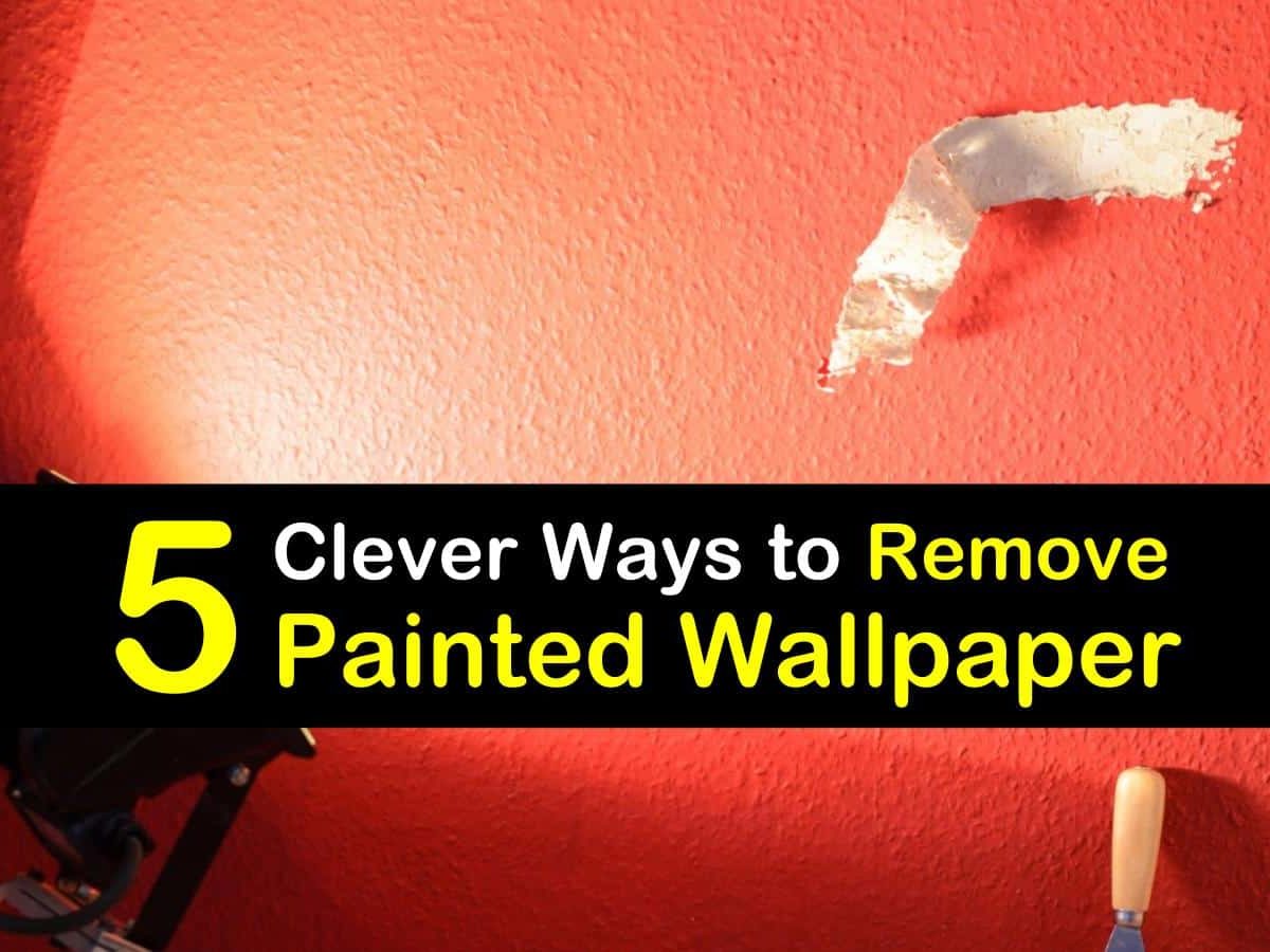 Clever Wallpapers