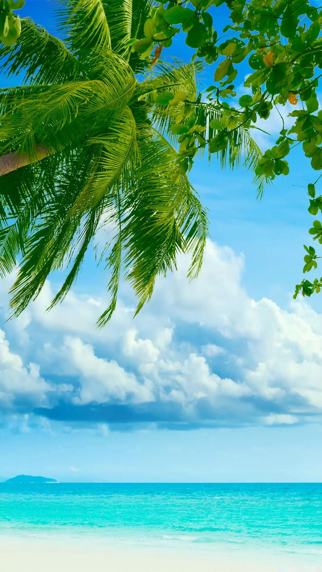 Coconut Tree Wallpapers