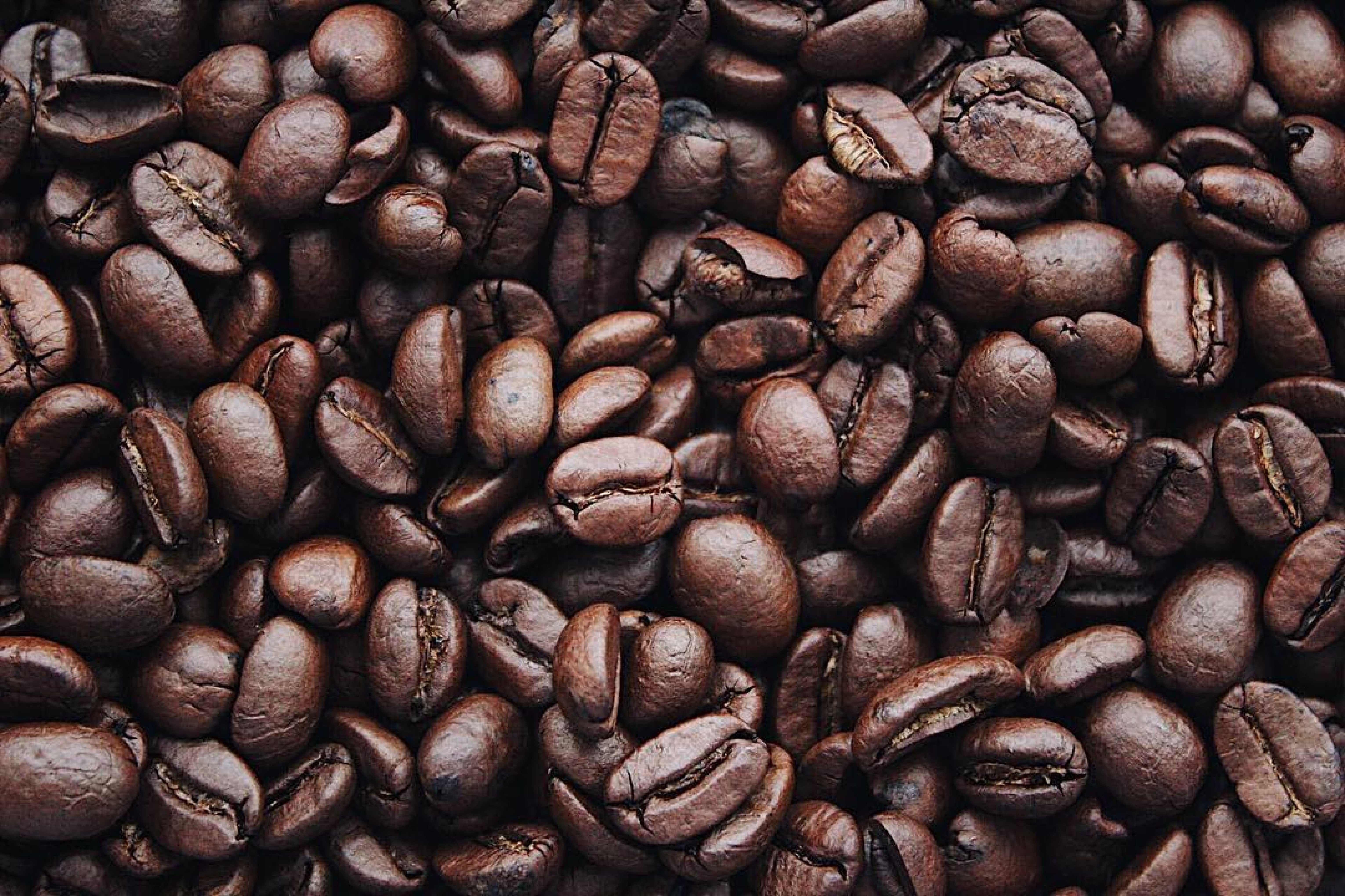 Coffee Pics Free Wallpapers