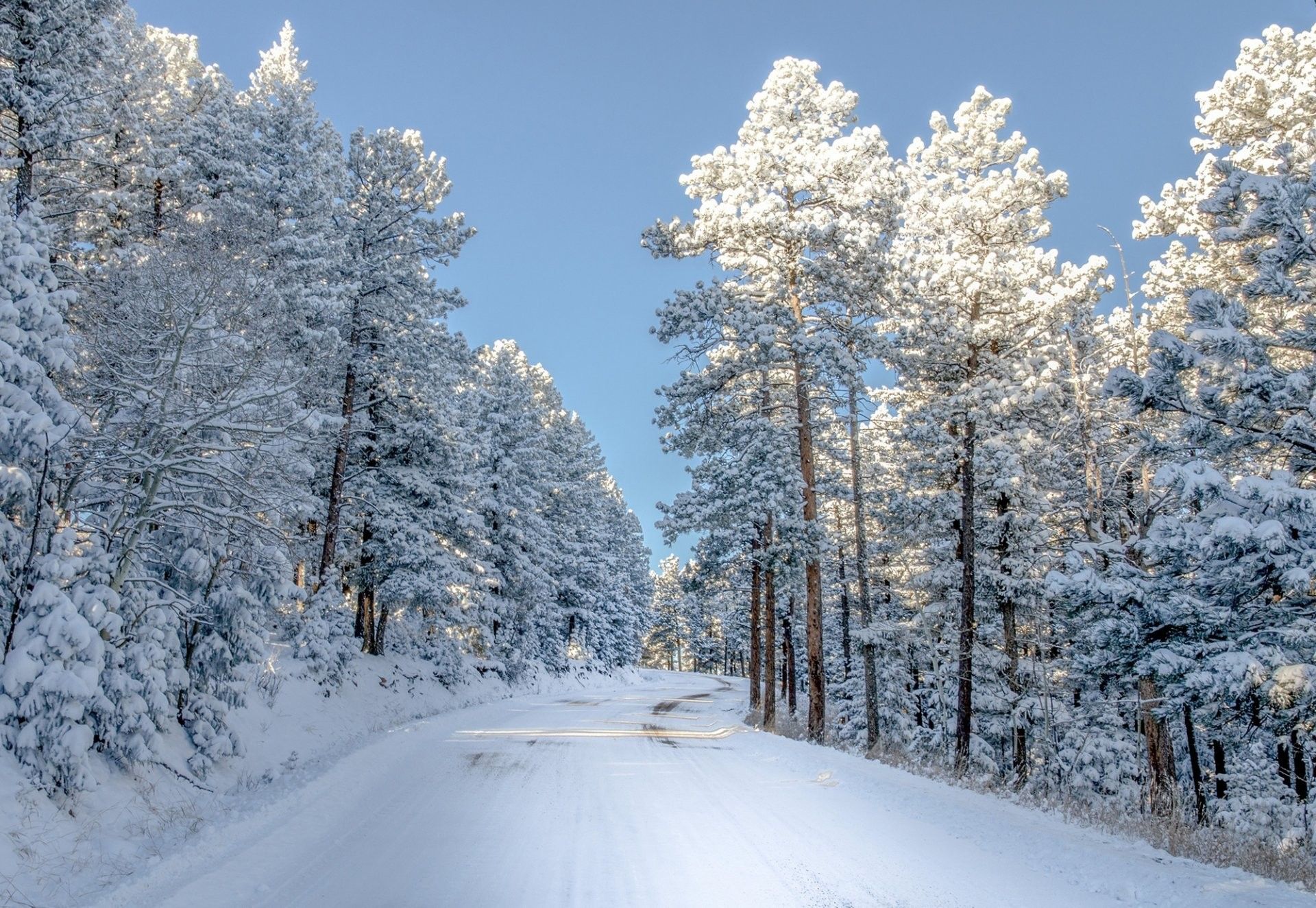 Colorado Snow Wallpapers