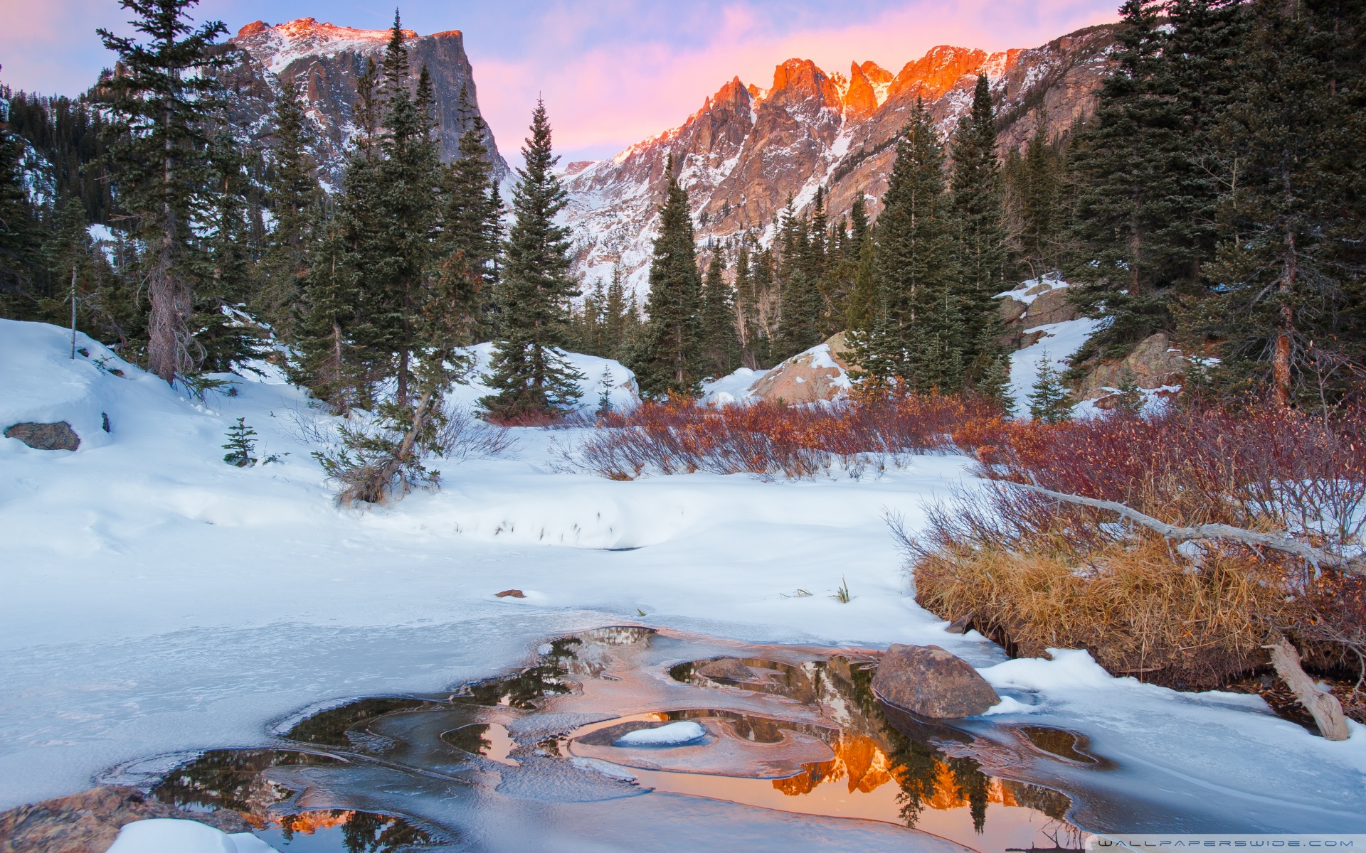 Colorado Snow Wallpapers