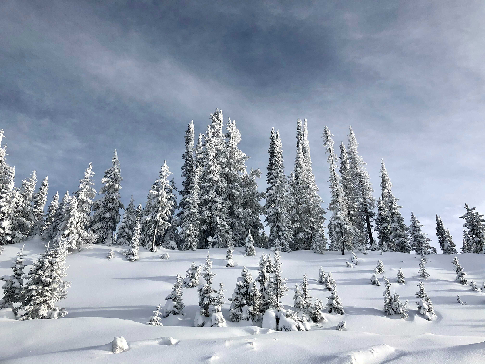 Colorado Snow Wallpapers