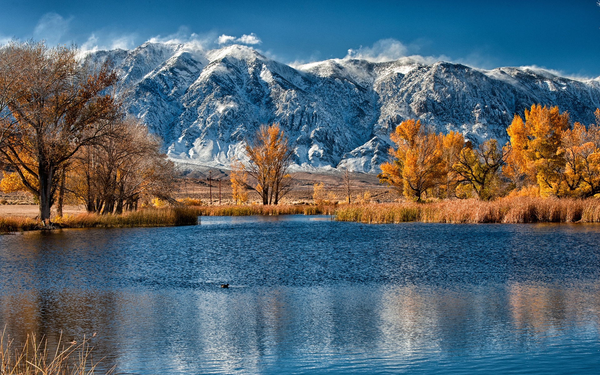 Colorado Snow Wallpapers