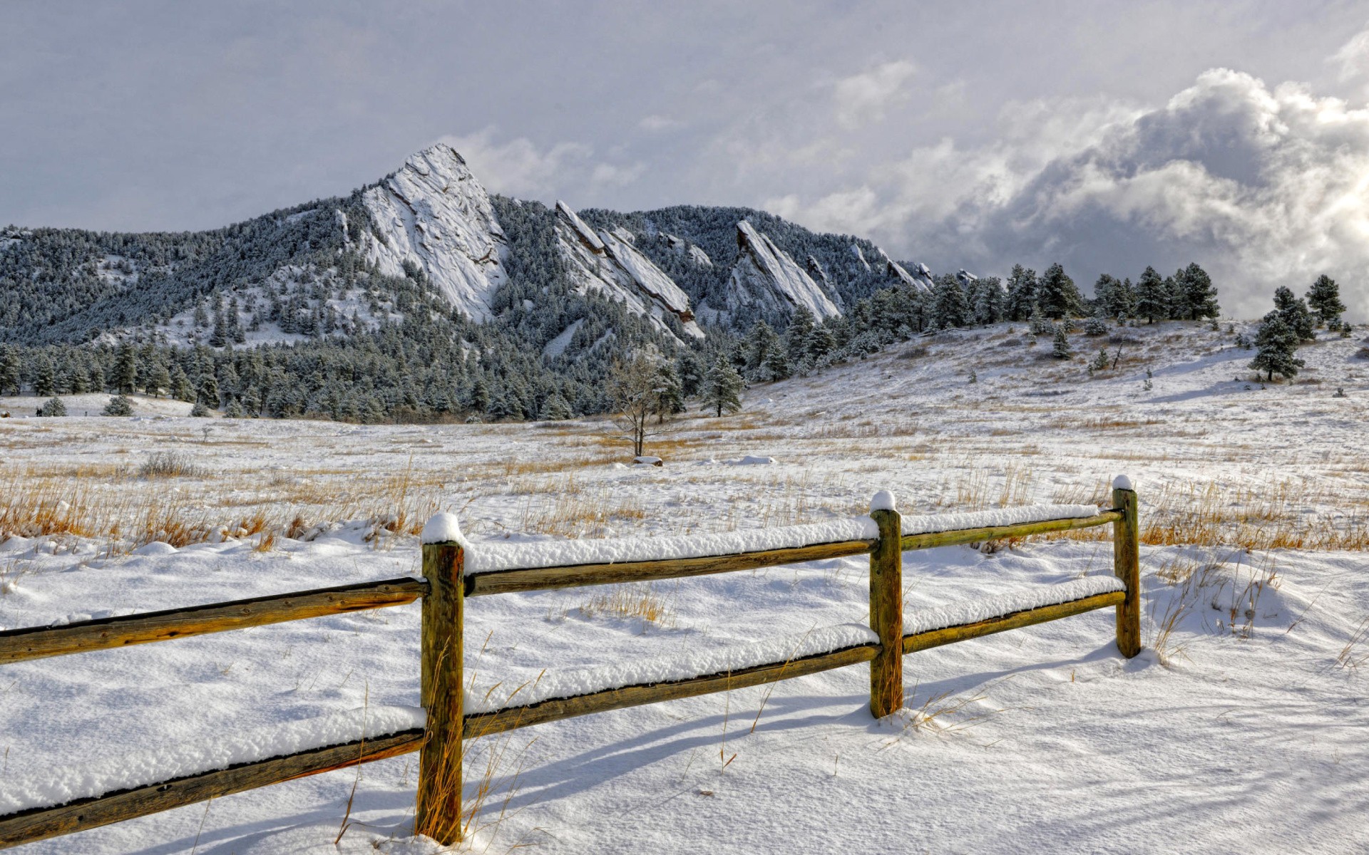 Colorado Snow Wallpapers