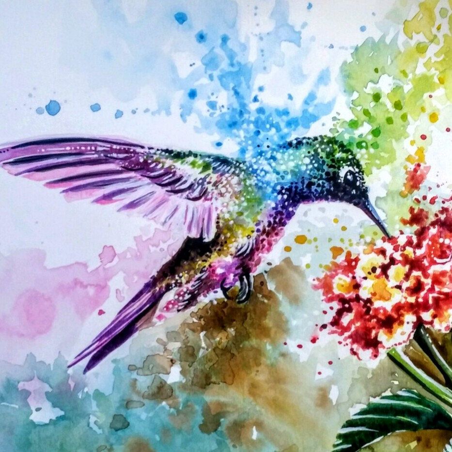 Colorful Hummingbird Wallpapers