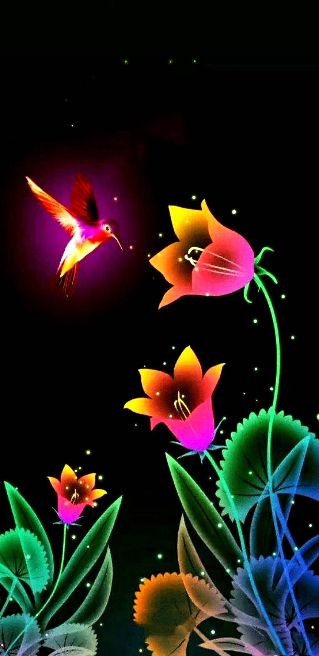 Colorful Hummingbird Wallpapers