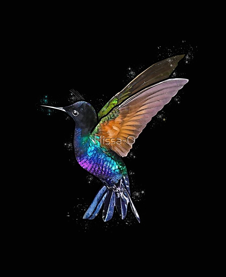 Colorful Hummingbird Wallpapers