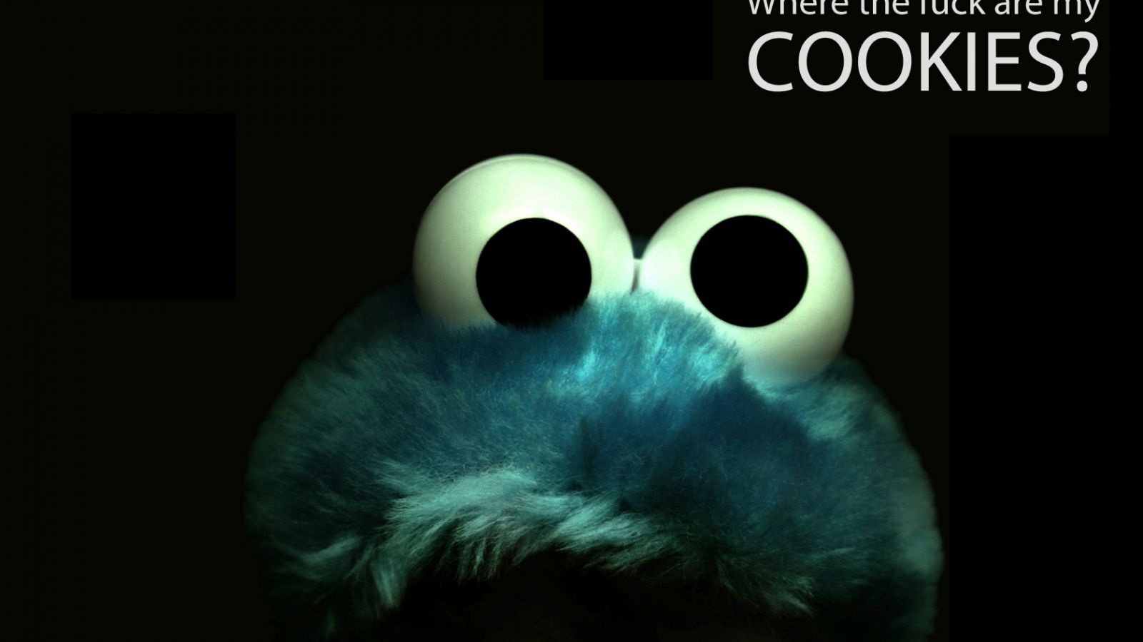 Cookie Monster Wallpapers