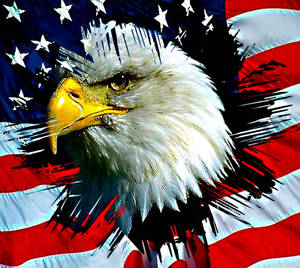 Cool American Flag Eagle Wallpapers