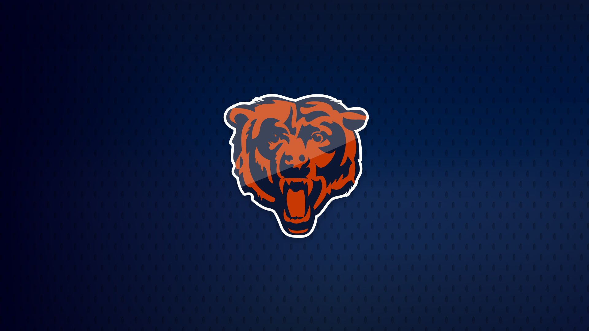 Cool Bears Logo Wallpapers