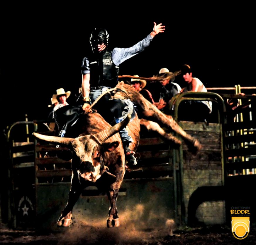 Cool Bull Riding Wallpapers