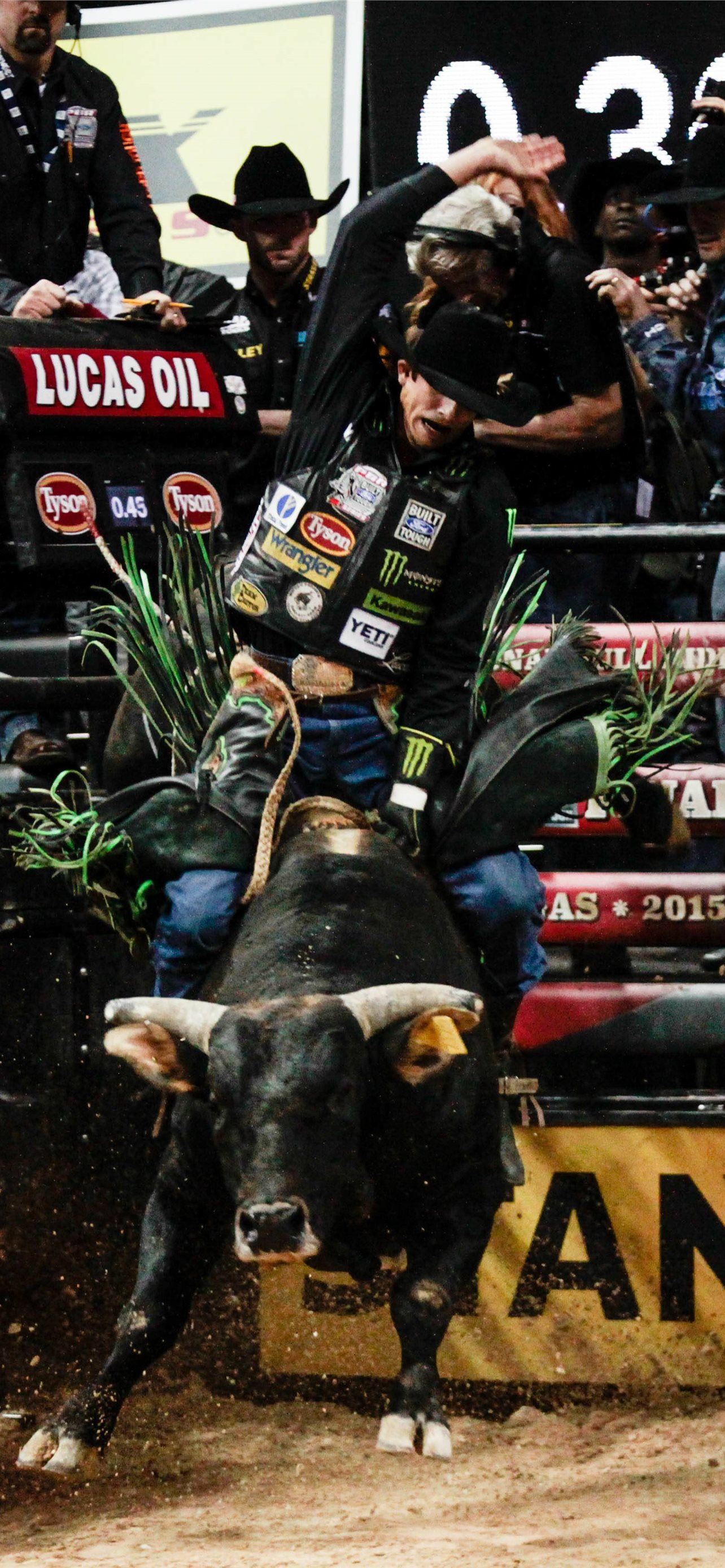 Cool Bull Riding Wallpapers