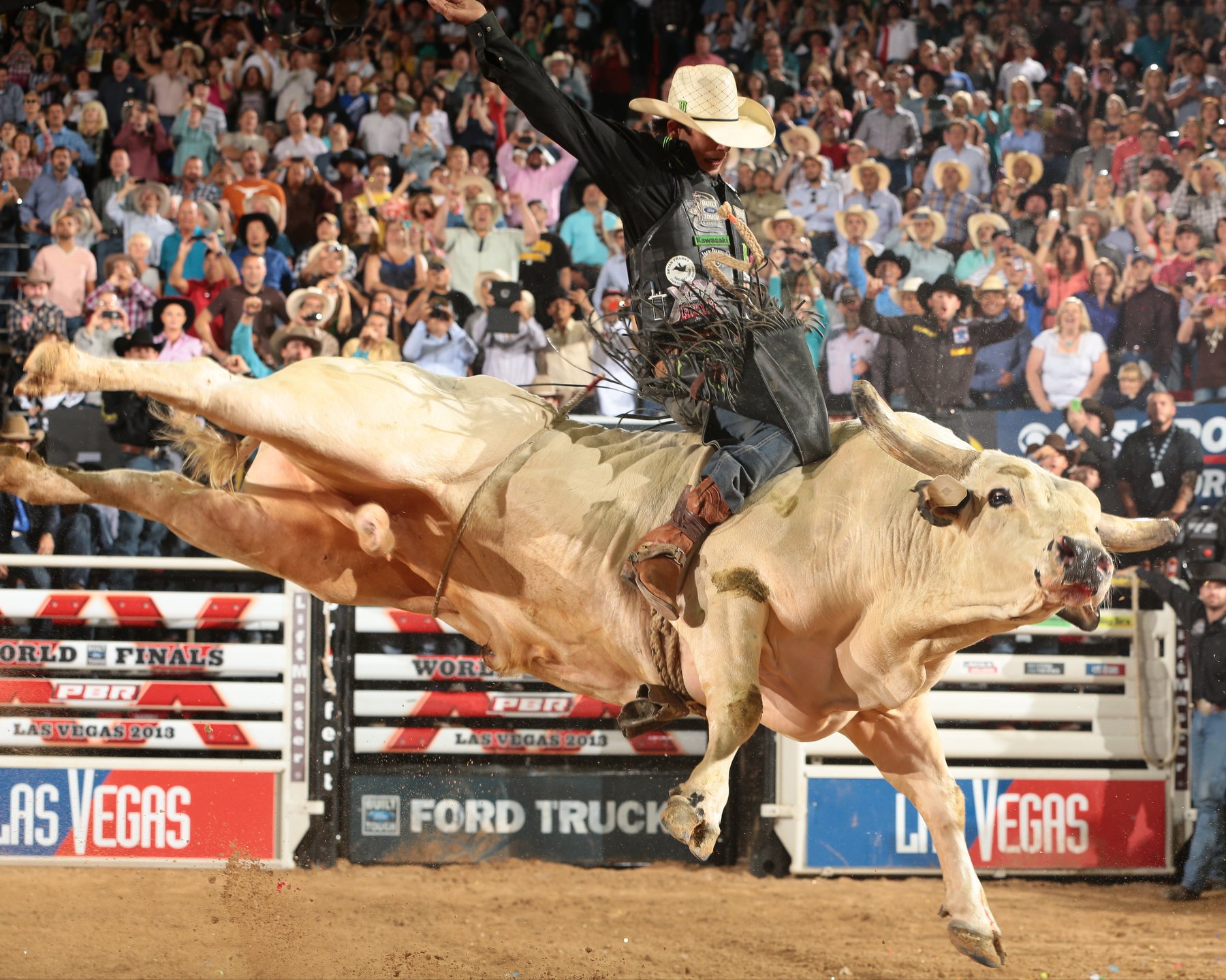 Cool Bull Riding Wallpapers