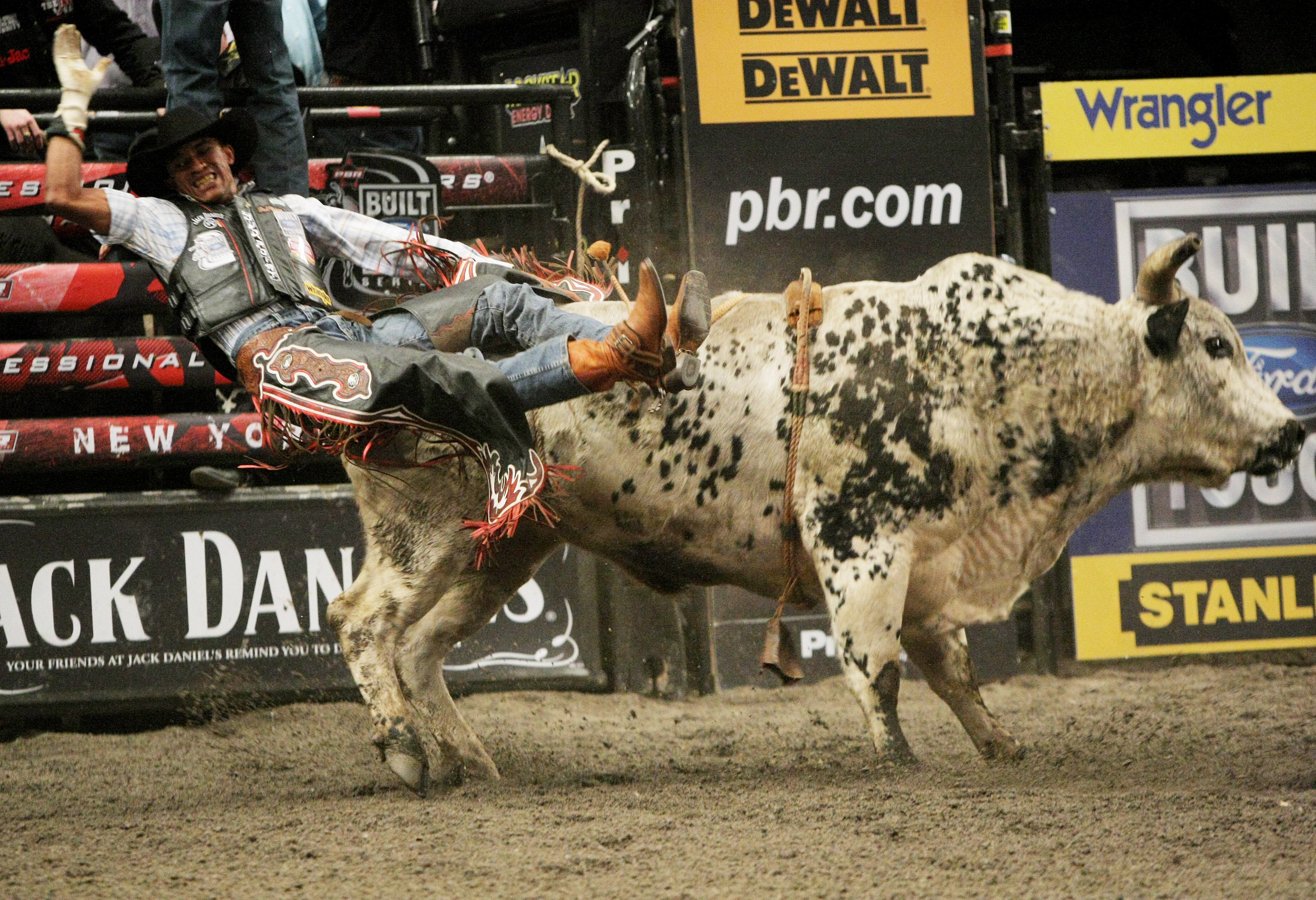 Cool Bull Riding Wallpapers