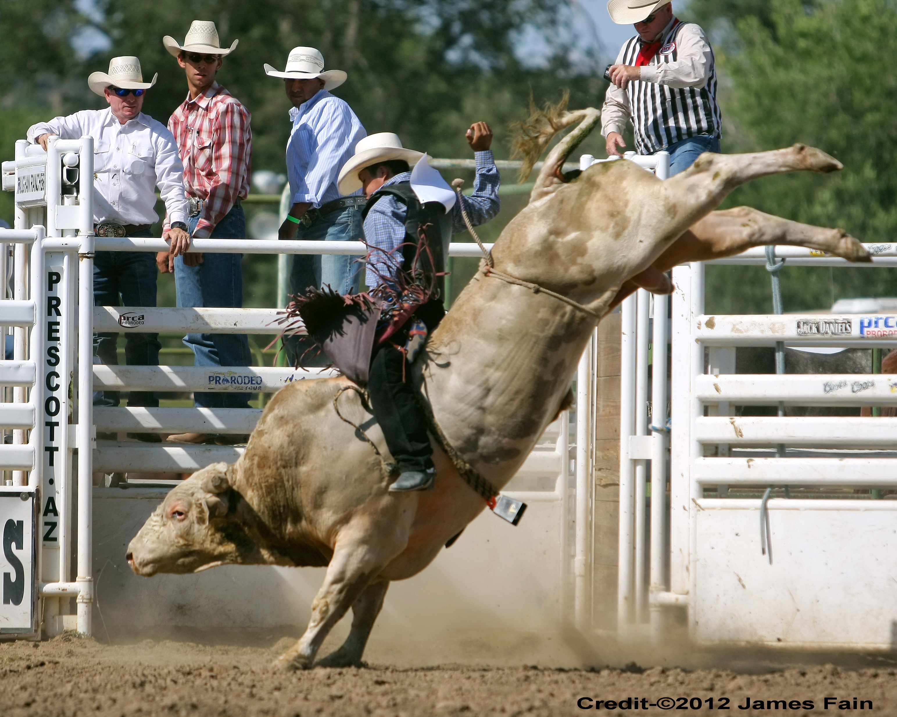 Cool Bull Riding Wallpapers